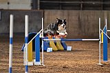 wedstrijd agility friends zaterdag