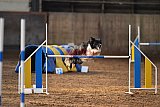 wedstrijd agility friends zaterdag