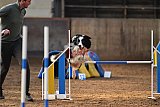 wedstrijd agility friends zaterdag