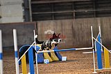 wedstrijd agility friends zaterdag