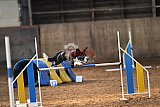 wedstrijd agility friends zaterdag