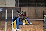 wedstrijd agility friends zaterdag