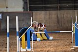 wedstrijd agility friends zaterdag