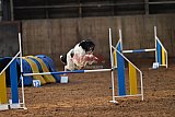 wedstrijd agility friends zaterdag