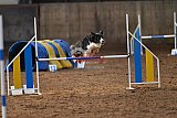wedstrijd agility friends zaterdag