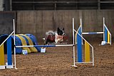 wedstrijd agility friends zaterdag