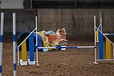 wedstrijd agility friends zaterdag