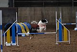 wedstrijd agility friends zaterdag