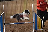wedstrijd agility friends zaterdag