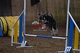 wedstrijd agility friends zaterdag