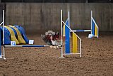wedstrijd agility friends zaterdag