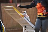 wedstrijd agility friends zondag