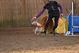 wedstrijd agility friends zondag