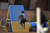 wedstrijd agility friends zondag
