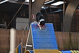 wedstrijd agility friends zondag