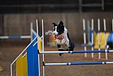 wedstrijd agility friends zondag