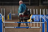 wedstrijd agility friends zondag