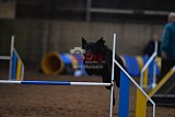 wedstrijd agility friends zondag