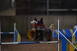 wedstrijd agility friends zondag
