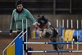 wedstrijd agility friends zondag