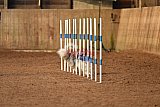 wedstrijd agility friends zondag