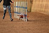 wedstrijd agility friends zondag