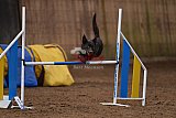 wedstrijd agility friends zondag