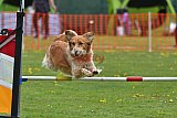 wedstrijd apeldoorn 18-04-2026