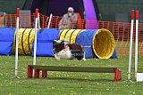 wedstrijd apeldoorn 18-04-2026