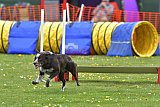 wedstrijd apeldoorn 18-04-2026