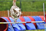 wedstrijd apeldoorn 18-04-2026