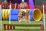 wedstrijd apeldoorn 18-04-2026