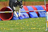 wedstrijd apeldoorn 18-04-2026