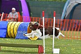 wedstrijd apeldoorn 18-04-2026