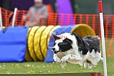wedstrijd apeldoorn 18-04-2026