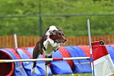 wedstrijd apeldoorn 18-04-2026