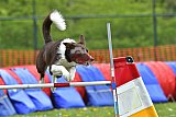 wedstrijd apeldoorn 18-04-2026