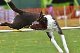 wedstrijd apeldoorn 18-04-2026