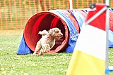 wedstrijd apeldoorn 18-04-2026