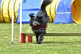 wedstrijd apeldoorn 18-04-2026