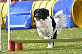 wedstrijd apeldoorn 18-04-2026