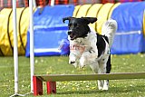 wedstrijd apeldoorn 18-04-2026