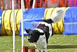 wedstrijd apeldoorn 18-04-2026