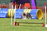 wedstrijd apeldoorn 18-04-2026