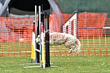 wedstrijd apeldoorn 18-04-2026