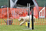 wedstrijd apeldoorn 18-04-2026