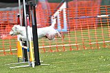 wedstrijd apeldoorn 18-04-2026
