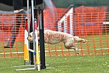 wedstrijd apeldoorn 18-04-2026
