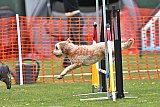 wedstrijd apeldoorn 18-04-2026