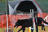 wedstrijd apeldoorn 18-04-2026